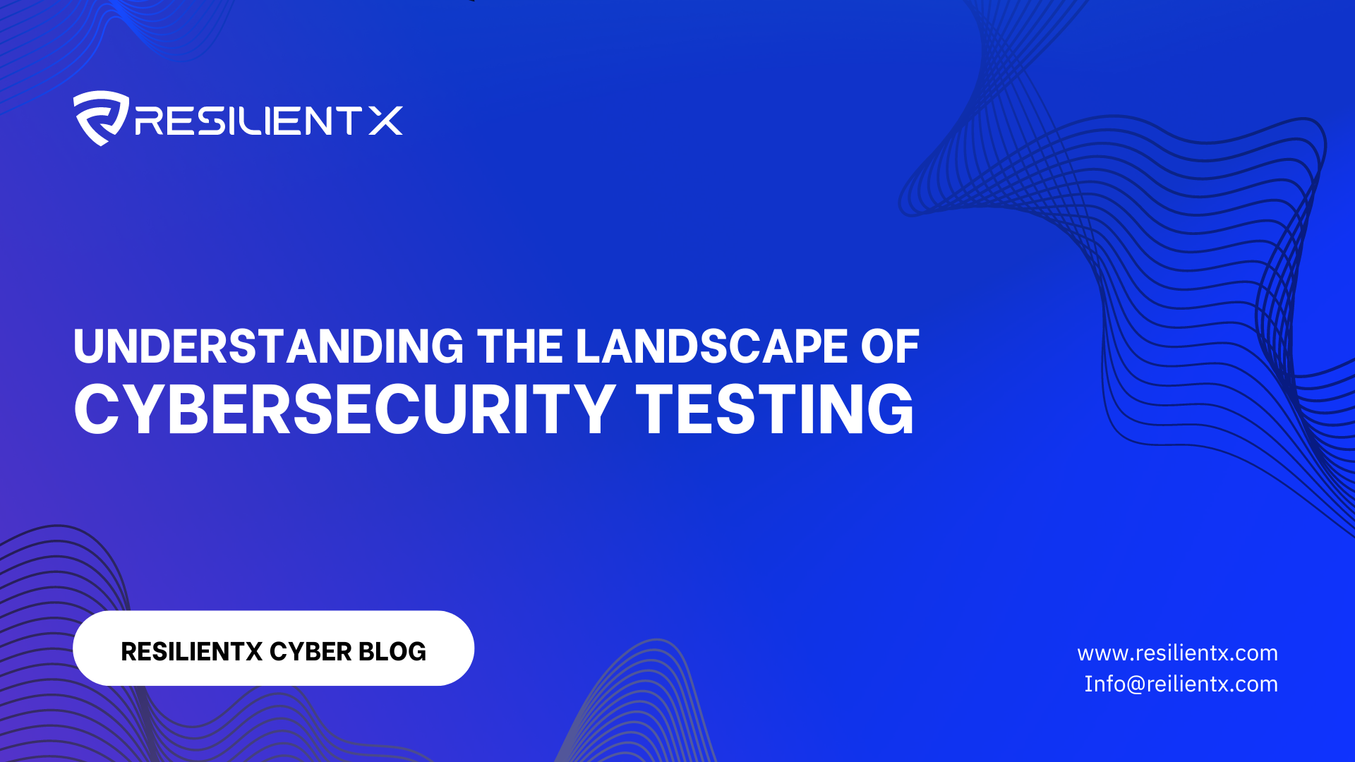 Understanding the Landscape of Cybersecurity Testing