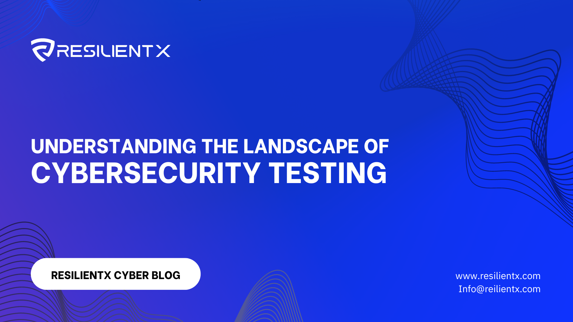Understanding The Landscape of Cybersecurity Testing